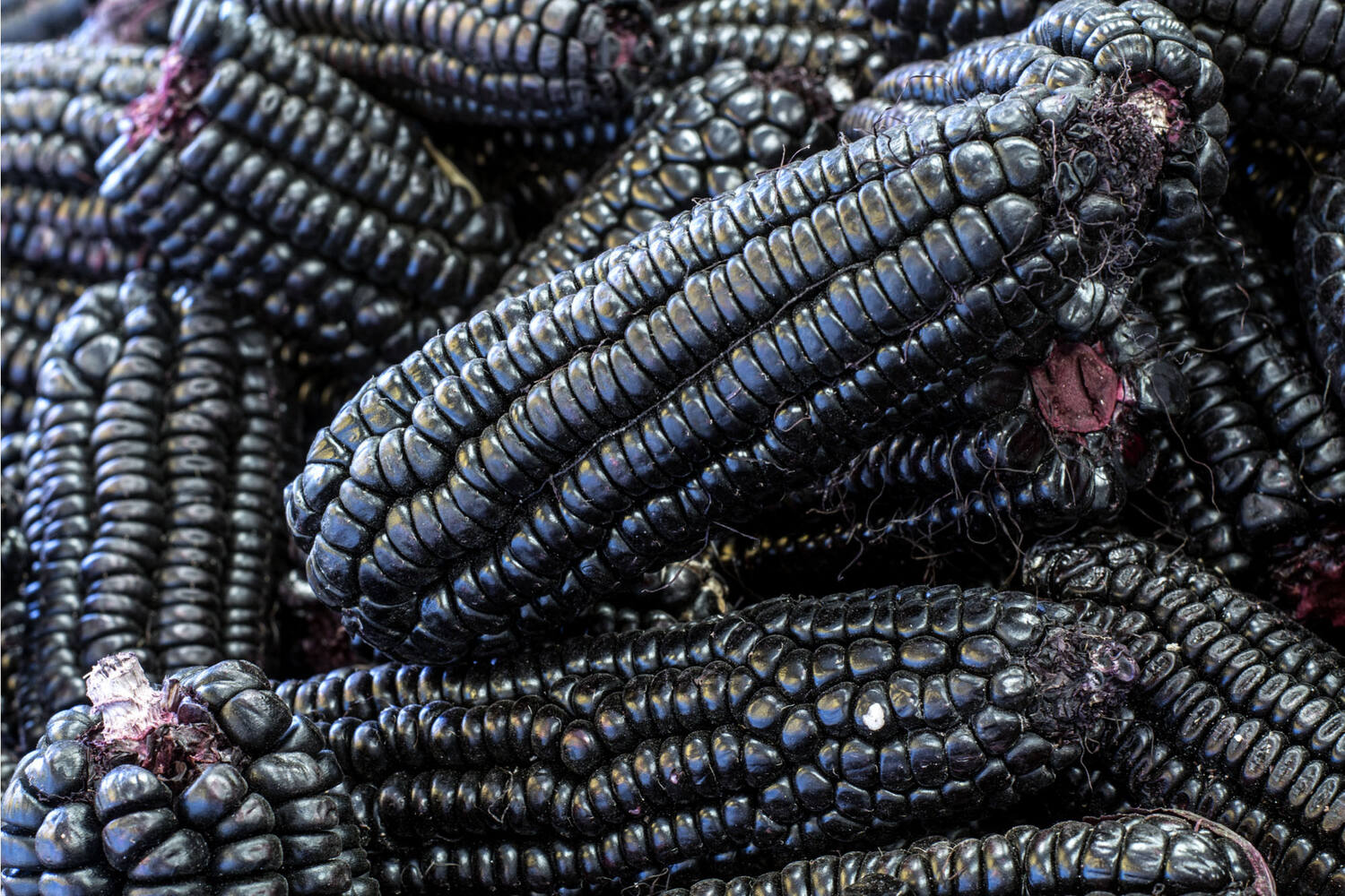 Black corn crade 2 kilo